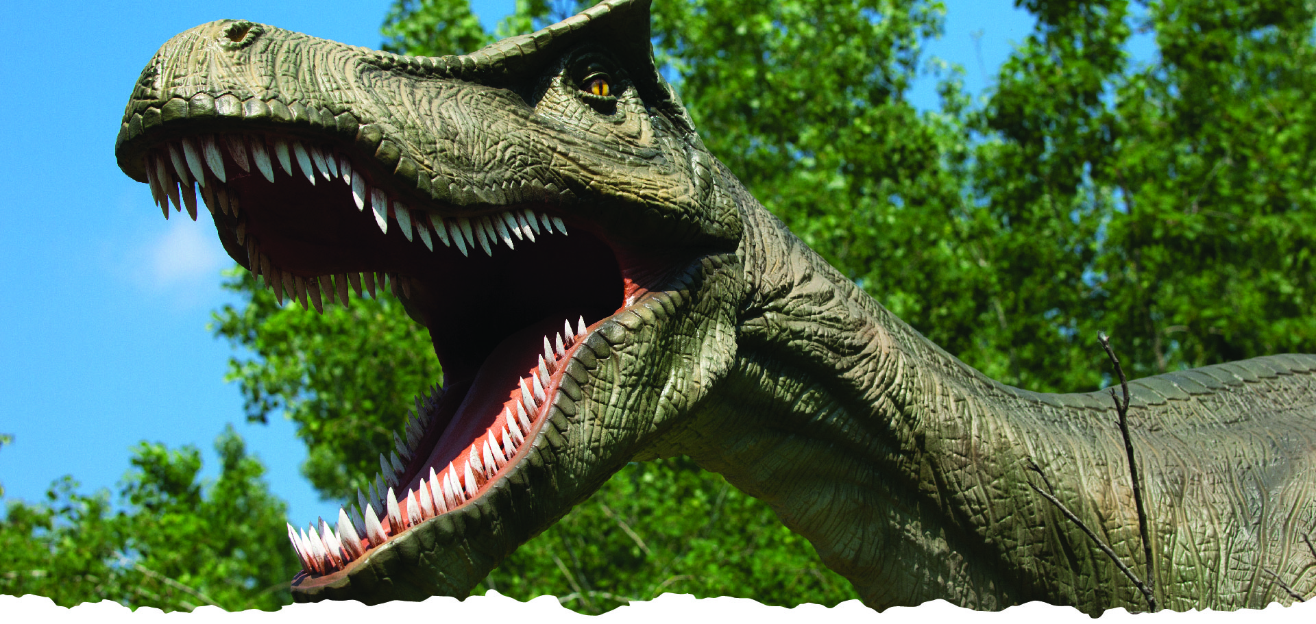 Events - NJ Field Station: Dinosaurs