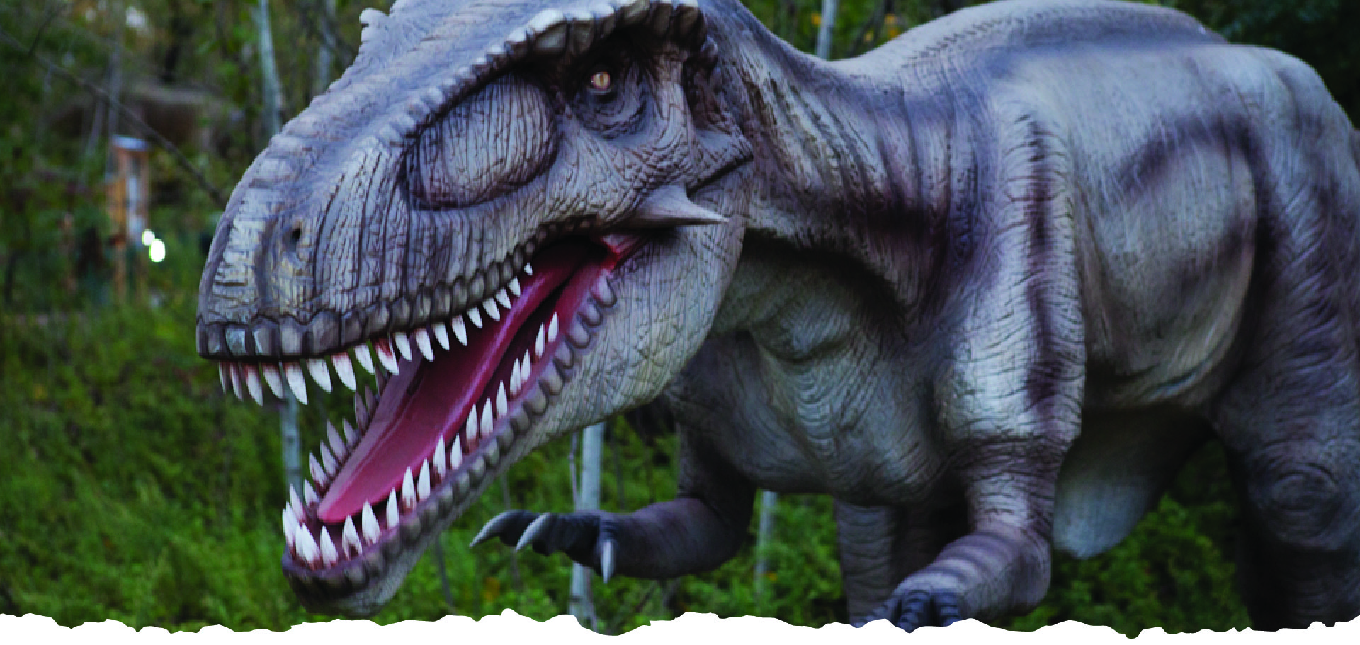 Field Station: Dinosaurs - A dinosaur adventure park in ...